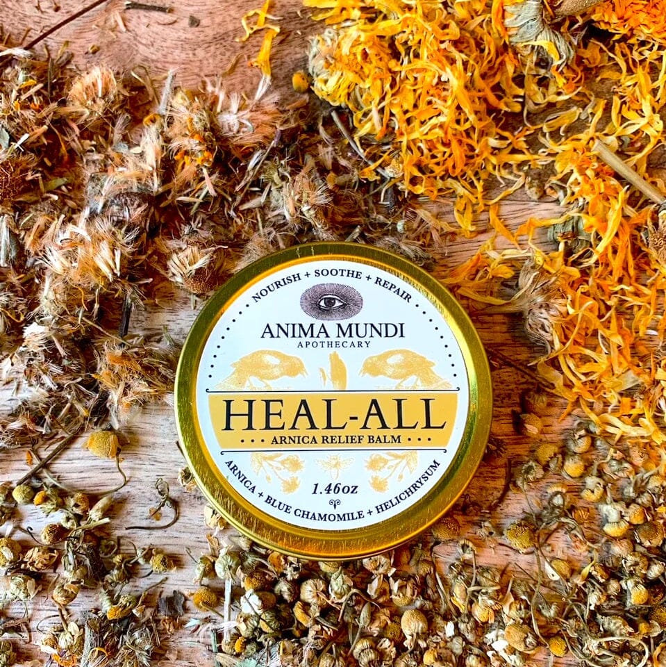 HEAL-ALL Arnica Relief Balm | Nourish, Soothe + Repair Anima Mundi Apothecary - Genuine Selection